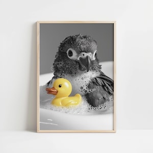 Bathroom Animal Digital Print, Bathroom Wall Art, Funny Bathroom Décor, Animal Bathtub Print, Bathrobe Animal, Parrot Bathroom Art