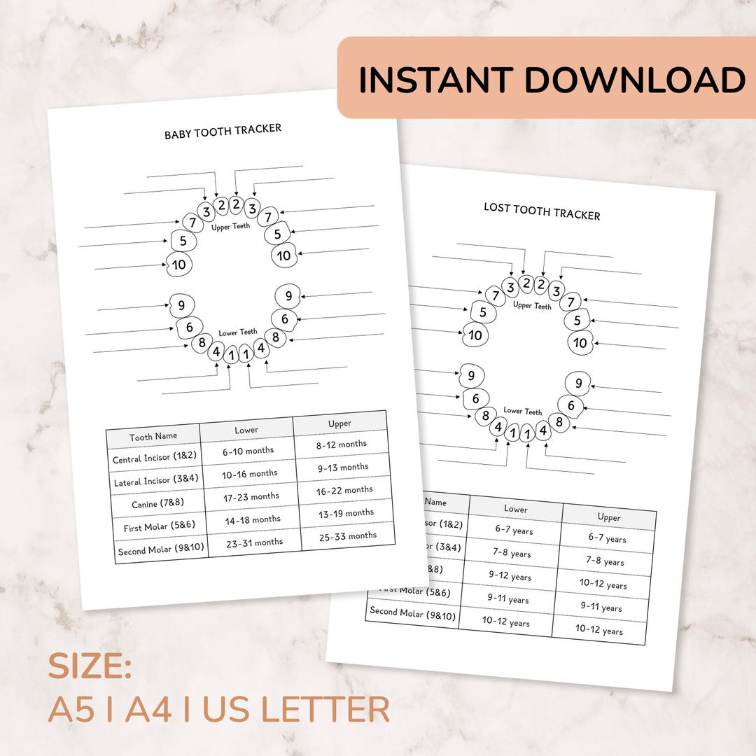 Baby Teeth & Lost Tooth Tracker – Printable Teething Chart (digital ...