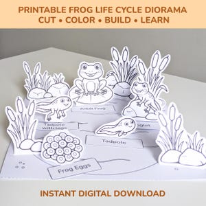 May include: A printable frog life cycle diorama with cut-out elements. The black and white illustrations depict the stages of a frog's life, including eggs, tadpoles, and adult frogs. The text reads "Cut, Color, Build, Learn" and "Instant Digital Download."