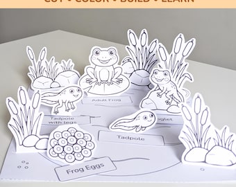 Frog Life Cycle Printable Diorama | STEM Science Craft for Kids | Amphibians Life Cycle Activity | Cut Color Build