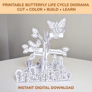 May include: A printable butterfly life cycle diorama. The black and white papercraft features a tree with labeled stages: egg, caterpillar, chrysalis, and butterfly. The text at the top reads "PRINTABLE BUTTERFLY LIFE CYCLE DIORAMA CUT • COLOR • BUILD • LEARN". The bottom text says "INSTANT DIGITAL DOWNLOAD".