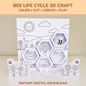以下が含まれることがあります： ミツバチのライフサイクルをイラストで表現した3Dクラフトキット。白黒のデザインは、太陽、雲、花、ハニカム構造で、卵、幼虫、蛹、成虫の段階が表示されています。「BEE LIFE CYCLE 3D CRAFT COLOR • CUT • CREATE • PLAY」と書かれています。