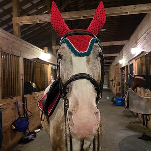 Customized Show Ready Equestrian Fly Ear Bonnets Dressage Jumper Eventer Trials image 4