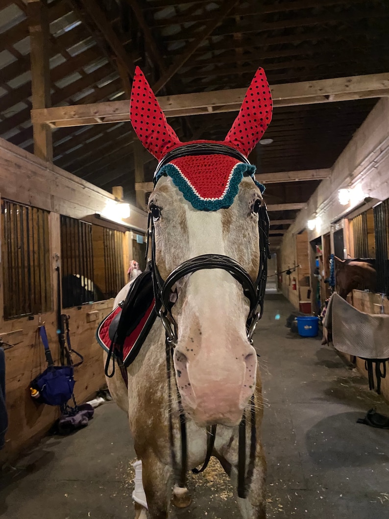 Customized Show Ready Equestrian Fly Ear Bonnets Dressage Jumper Eventer Trials image 4