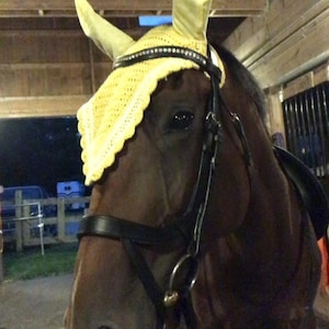 Customized Show Ready Equestrian Fly Ear Bonnets Dressage Jumper Eventer Trials image 3