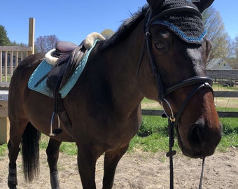 Customized equestrian fly bonnet for shows, schooling, events, clinics, and trails in multiple colors