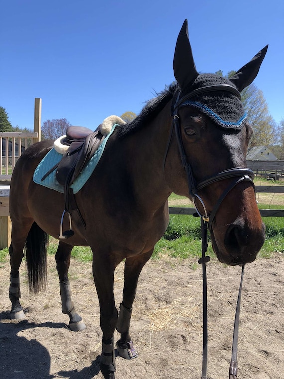 Customized equestrian fly bonnet for shows, schooling, events, clinics, and trails in multiple colors