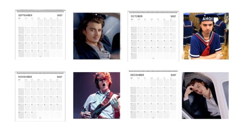2027 Joe Keery Calendar | 2027 Calendar | Joe Keery Gift | Wall Calendar | Joe Keery Shirt | Djo Poster | Djo Merch | Music Poster image 4