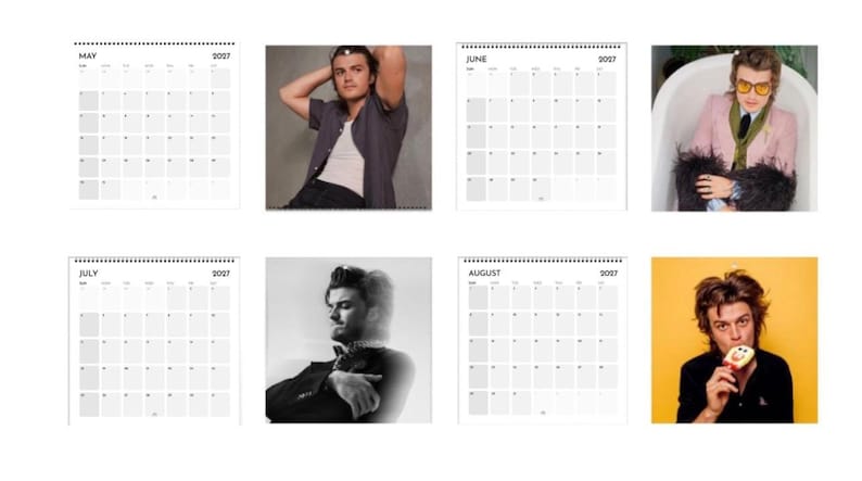 2027 Joe Keery Calendar | 2027 Calendar | Joe Keery Gift | Wall Calendar | Joe Keery Shirt | Djo Poster | Djo Merch | Music Poster image 3