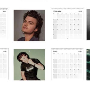 2027 Joe Keery Calendar | 2027 Calendar | Joe Keery Gift | Wall Calendar | Joe Keery Shirt | Djo Poster | Djo Merch | Music Poster image 2