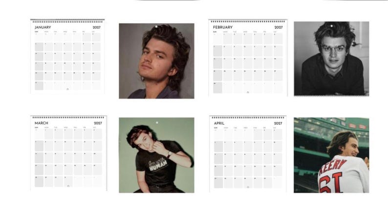 2027 Joe Keery Calendar | 2027 Calendar | Joe Keery Gift | Wall Calendar | Joe Keery Shirt | Djo Poster | Djo Merch | Music Poster image 2
