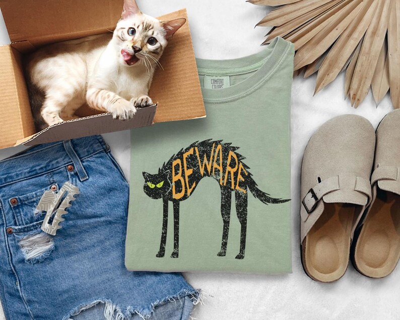 May include: A light green t-shirt with a black cat graphic that says "BEWARE" in orange letters. A cat with tan and white fur sits in a cardboard box. Blue denim shorts and tan slip-on shoes are also in the image.