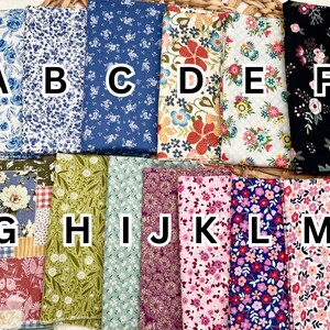 Fabric options for the Hen on Next applique.