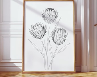 Protea Line Art Print - Minimalist Floral Wall Art - Botanical Drawing - Digital Download