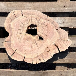 Raw Olive Wood Slab: Natural Live Edge, DIY Project Ready (20"x15"x1.8")