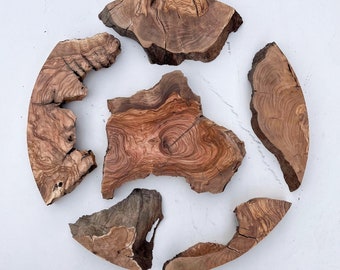 Natural Olive Wood Pieces: Live Edge Slices for Resin Art