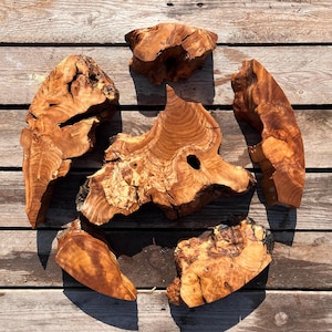 2 Zoll (5 Cm) Olivenholzstücke, Olivenholz für Harz, DIY Holzkunst, Live Edge Holz, Rundschnittholz, Epoxidharz-Projekte