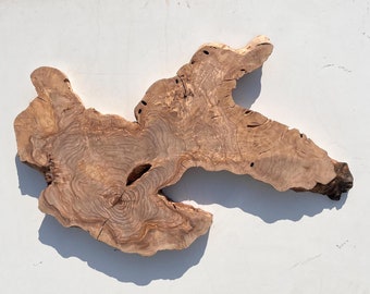 Natural Olive Wood Slab: Live Edge Tree Slice, DIY Rustic Decor (28x18 Inches)