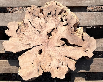 Natural Olive Wood Slab: Live Edge Wood Piece (20"x17"x2")