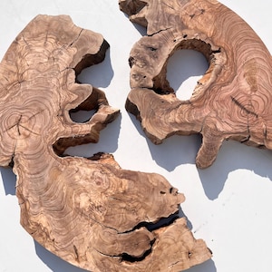 Round Olive Wood Slab: Live Edge Wood Piece for Resin Art