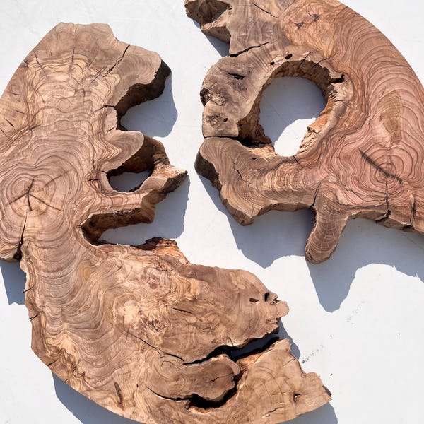 Round Olive Wood Slab: Live Edge Wood Piece for Resin Art