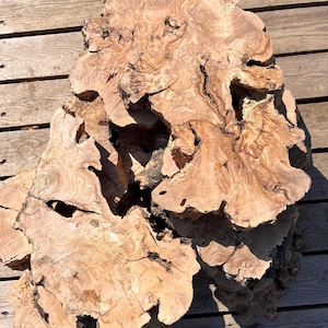1.6&quot; Thick Olive Wood Slab: Natural Burl Wood Pieces for Resin Art