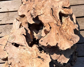 1.6" Thick Olive Wood Slab: Natural Burl Wood Pieces for Resin Art