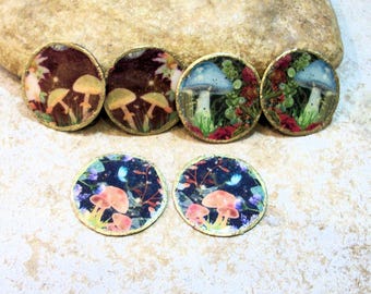 autumn mushrooms, 2 round charms, medals, pieces for creating earrings or necklaces, blue brown red