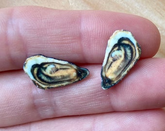 Oyster stud earrings