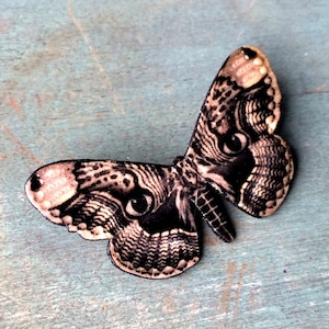 Moth Pin Dödsfall Huvud Moth Ögon Gotisk Ockult Zigenare Förmögenhet Naturhistorisk Knapp