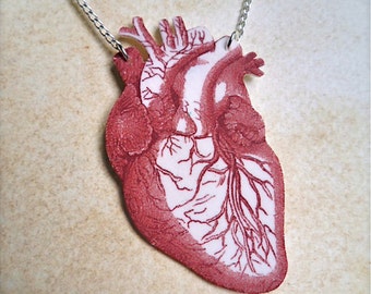 Blood Red Anatomical Human Heart Necklace