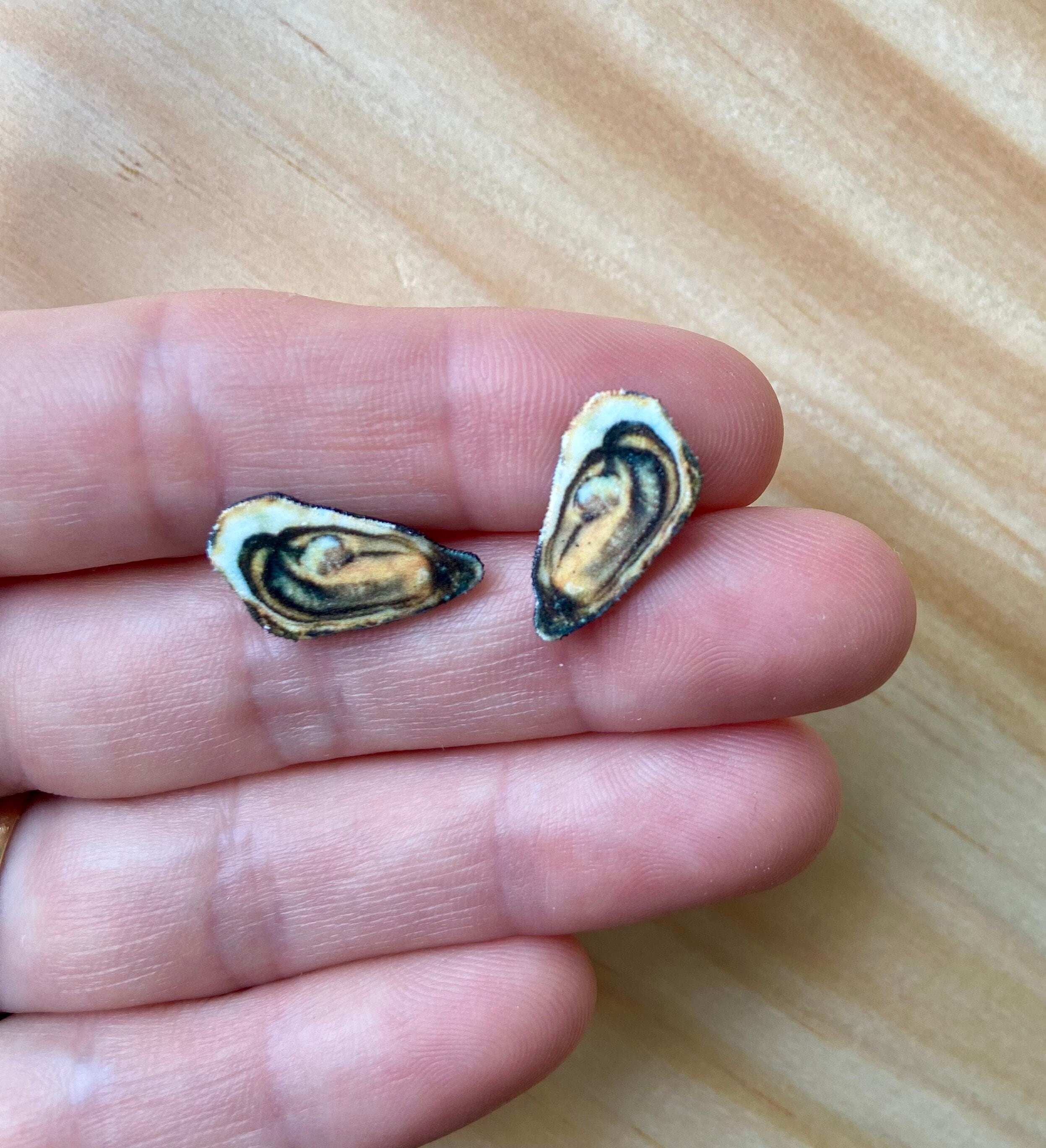 Oyster stud earrings