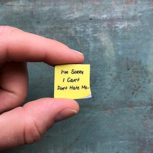 I'm Sorry, I Can't Don't Hate Me Sex and the City Post It Note Berger ...