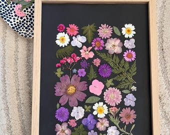 Herbarium of natural dried purple flowers