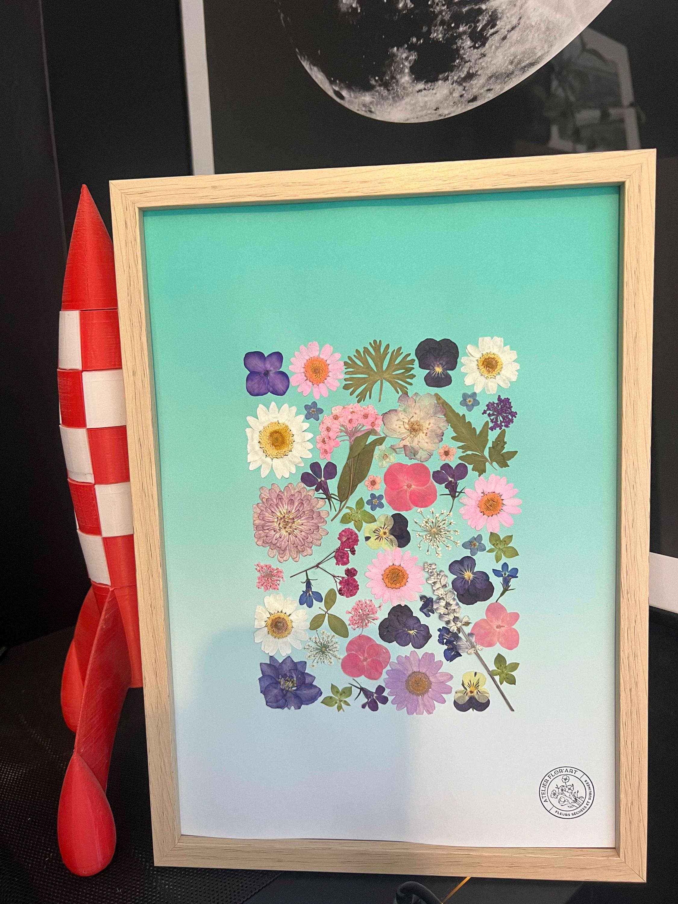 緑の背景にパステルカラーの植物標本 - サイズ 21x30 cm - Etsy 日本