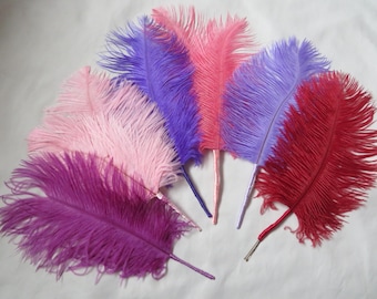 Regency-Inspired Ostrich Feather Hair Piece – Plume for Weddings, Balls & Costume Updos - Ready to Wear
