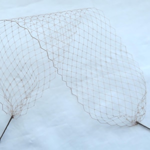May include: A beige, netted veil, possibly for a hat or headpiece, is shown against a white backdrop. The veil has a diamond pattern and is attached to two thin, dark brown stems. The netting is semi-transparent, allowing light to pass through.