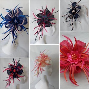 May include: Assortment of colourful feather and mesh hair clips. The clips feature a variety of colours, including pink, red, blue, black, and white. The clips are perfect for adding a touch of elegance to any outfit.