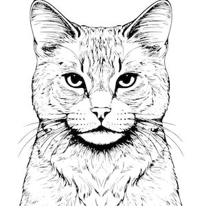 Black and White Cat Svg Digital Download – Minimalist Feline Line Art (Svg + Png 4000×4000) for Cricut and Silhouette