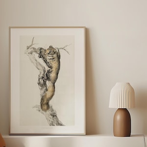Poster incorniciato "Scoiattolo volante su un ramo" di Jean Bernard – Illustrazione naturalistica | Stampa artistica giclée con bordo bianco