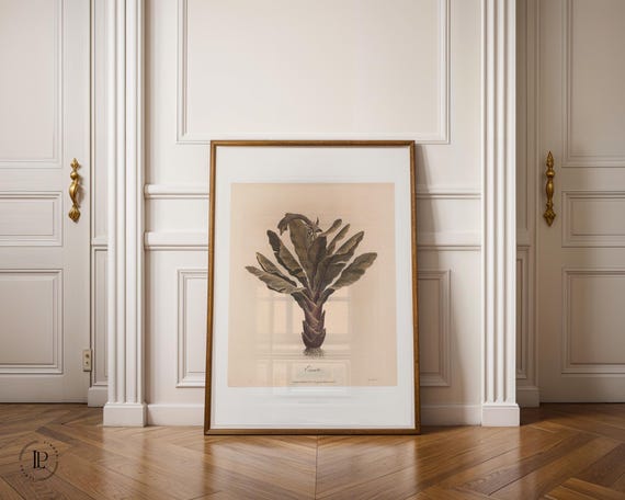 James Heath "Ensete" 1789 Poster Unframed – Botanical Illustration | High-quality art print with white border