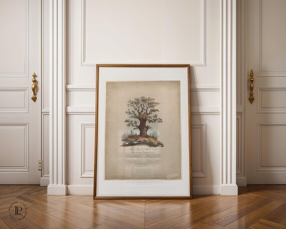 James Heath "The Royal Allied Oak and Mushroom Kings" poster unframed – natural history illustration | High-quality art print with white border