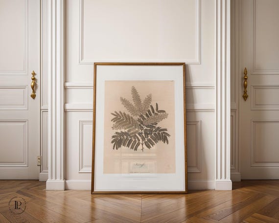 James Heath "Botanical Illustration – Plant Study" c. 1800 Framed Poster – Classic Natural History | Giclée Art Print with White Border