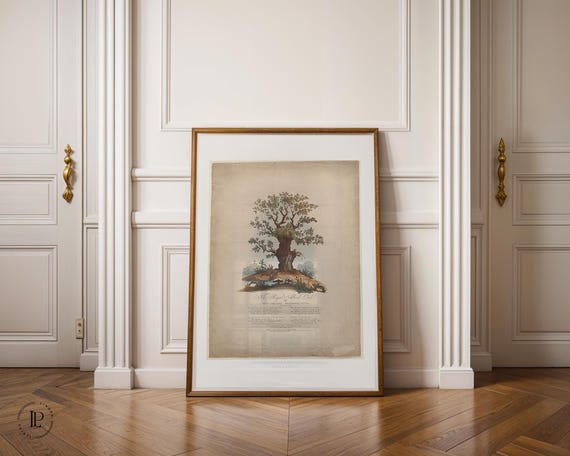 James Heath "The Royal Allied Oak and Self-Created Mushroom Kings" Framed Poster – Natural History Illustration | Giclée Art with White Border