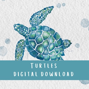 May include: A watercolour illustration of a sea turtle in blue and green hues. The turtle has a detailed shell and flippers, set against a textured white background with bubbles. Text at the bottom reads "TURTLES DIGITAL DOWNLOAD."