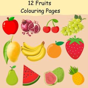 Fruit Coloring Pages for Kids – 12 Printable Worksheets – Learn Fruit Names – Digital Download