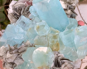 May include: A cluster of aquamarine crystals, showcasing a pale blue hue, with a crystalline structure. The crystals are surrounded by a matrix of gray, layered mineral formations. The overall composition is natural and geological.