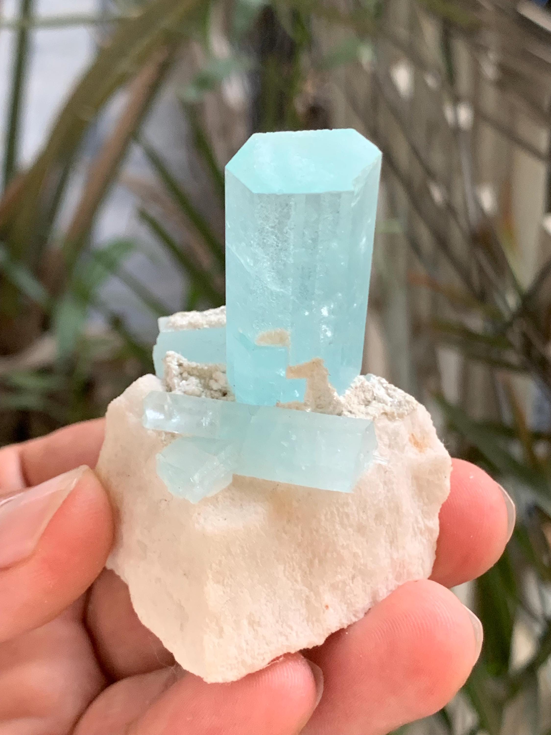 アクアバンチ - Etsy 日本