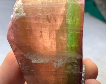 パプロク鉱山産バイカラートルマリン結晶（142.5g）
