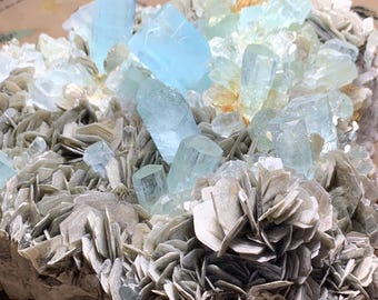 May include: A cluster of aquamarine crystals, showcasing a pale blue hue, are set against a backdrop of gray, layered mineral formations. The crystals are prismatic, with a glassy luster. The overall composition is a natural mineral specimen.